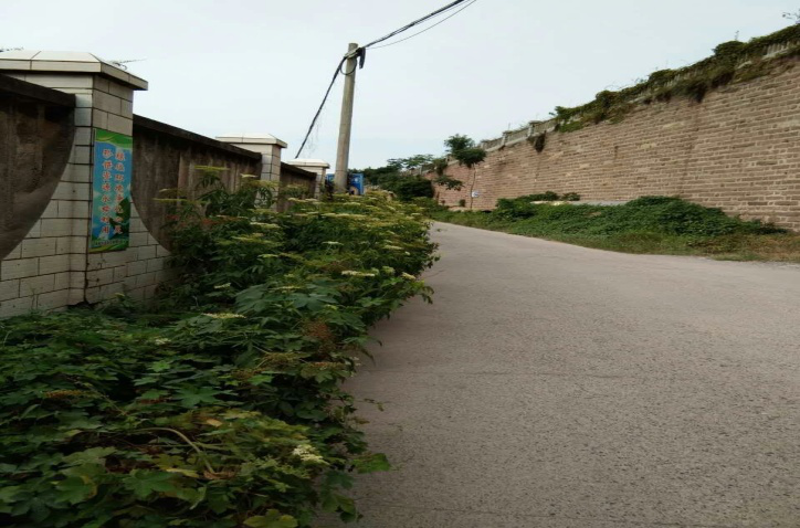 除草刷墻灑汗水，苗圃外貌換新顏