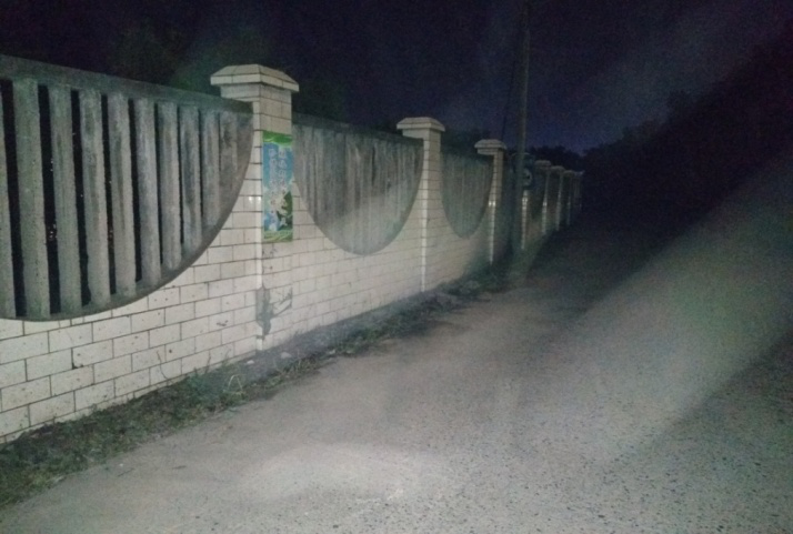 除草刷墻灑汗水，苗圃外貌換新顏